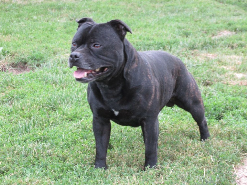 Expresso what else Des tempêtes du pays breton